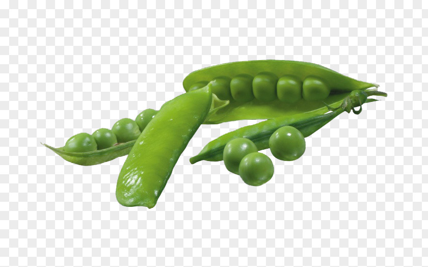 Burst Open Peas Pea Vegetable Pod Clip Art PNG