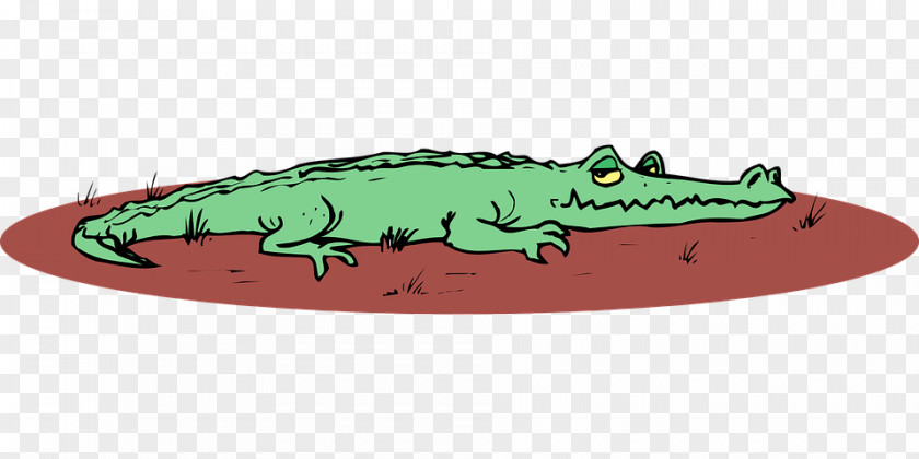 Crocodile Alligator Drawing Clip Art PNG