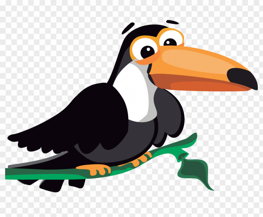 Illustration Bird Toucan Parrot Clip Art PNG