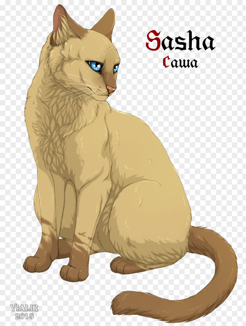 Kitten Whiskers Warriors Cat Tigerstar PNG