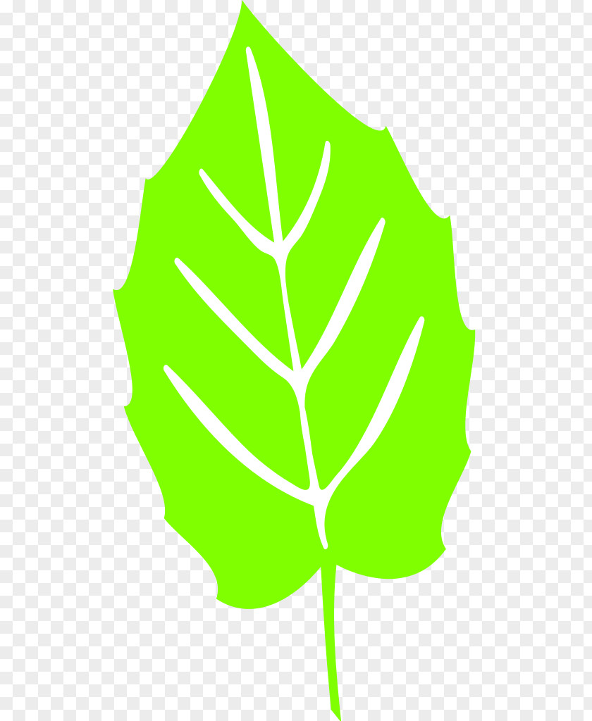 Leaf Svg Clip Art PNG
