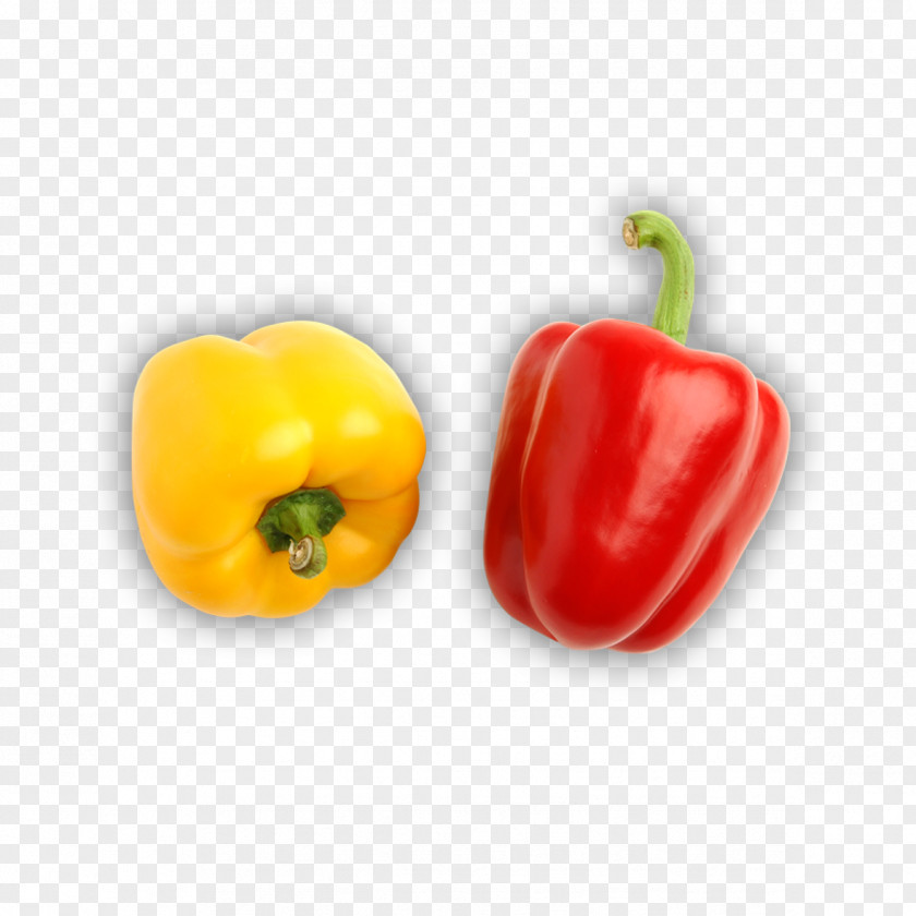 Pepper Props Bell Habanero Chili PNG