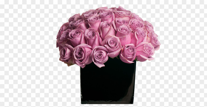 Purple Rose Black Vase Quotation PNG