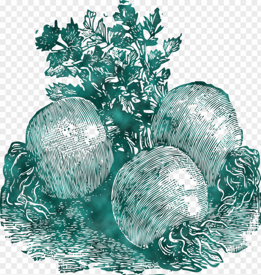 Vegetable PNG