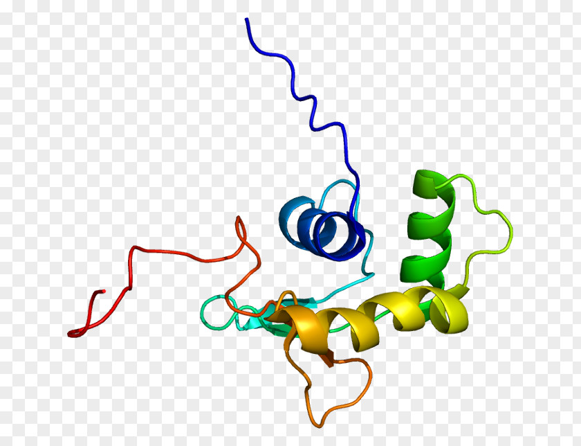ELF5 Protein Gene UniProt P53 PNG