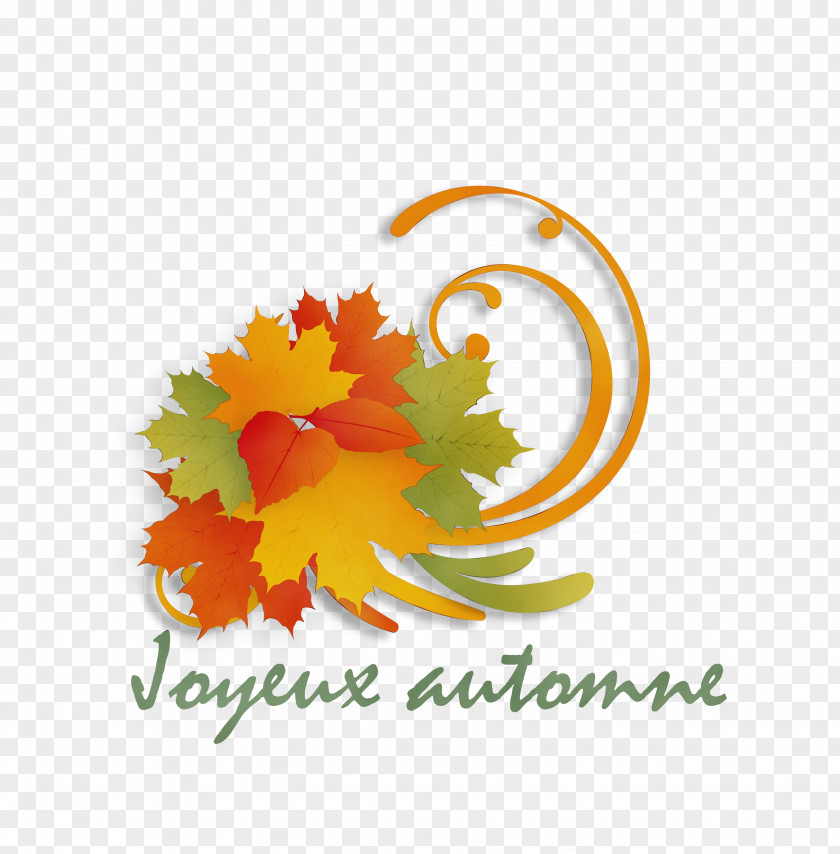 Leaf Petal Logo Autumn Color PNG