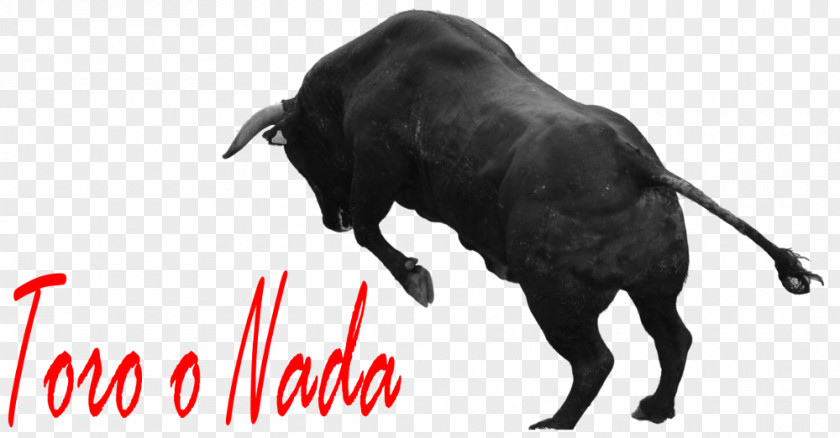Bull Spanish Fighting Horn Running Of The Bulls Ox PNG