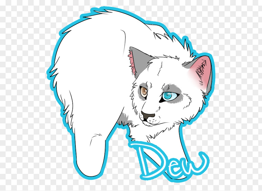 Dew Cat Whiskers Kitten Mammal Drawing PNG