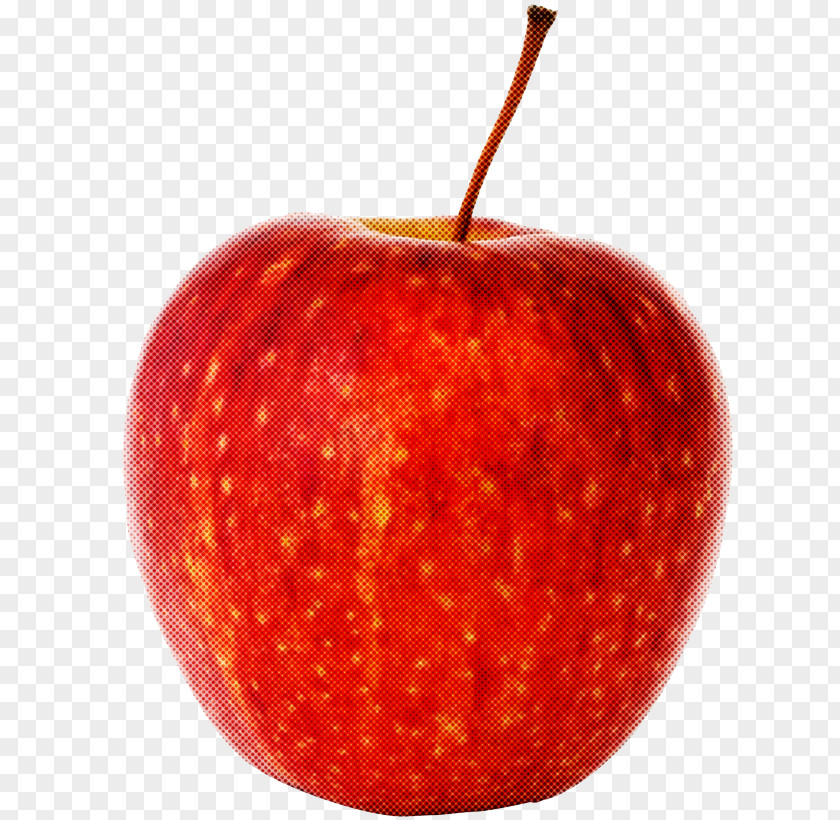 Fruit Red Apple Plant Food PNG