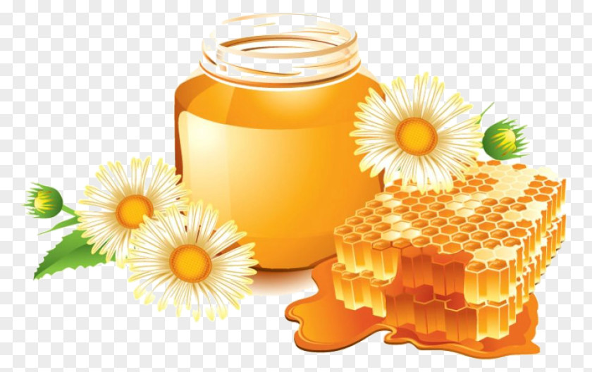 Honey Savior Of The Feast Day Atherosclerosis Beekeeping Information PNG