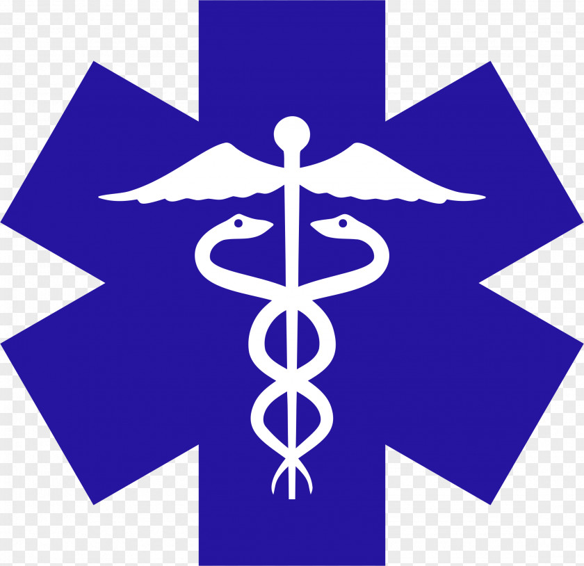 Lifetime Star Of Life Staff Hermes Medicine Clip Art PNG