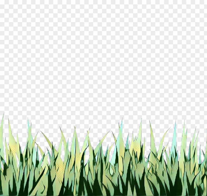Perennial Plant Meadow Green Grass Background PNG