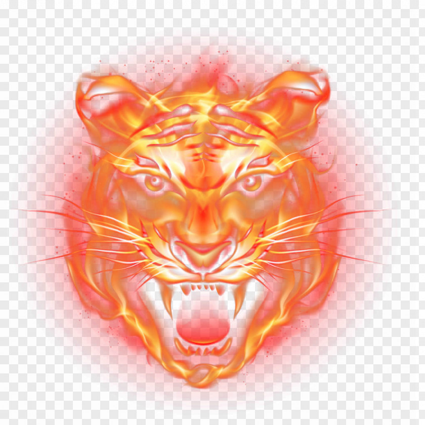 Tiger Fire Flame PNG