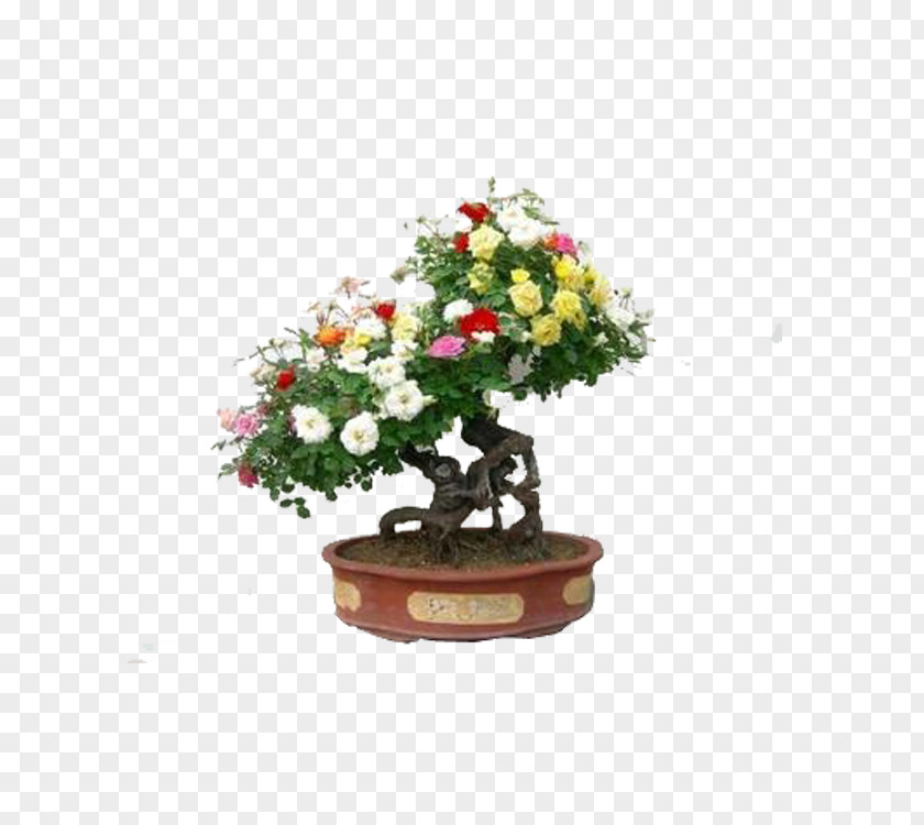 Tree Chinese Sweet Plum Flowerpot Artificial Flower PNG