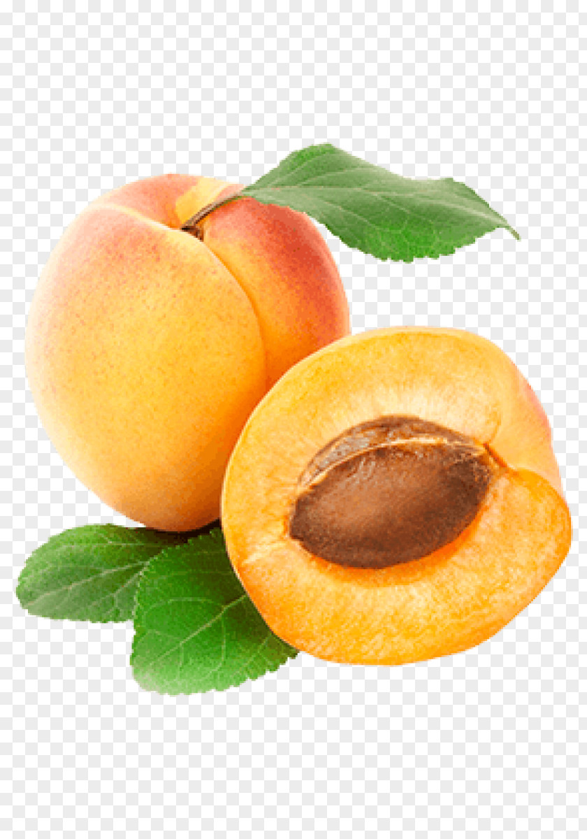 Apricot Peach Fruit Clip Art PNG