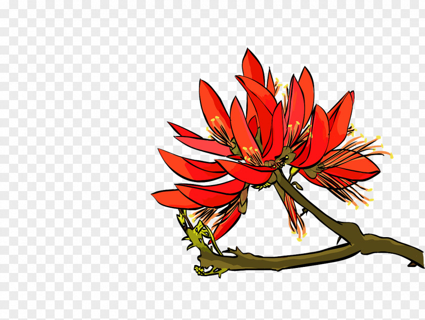 Azalea Icon Erythrina Variegata Crista-galli Image Corallodendron Clip Art PNG