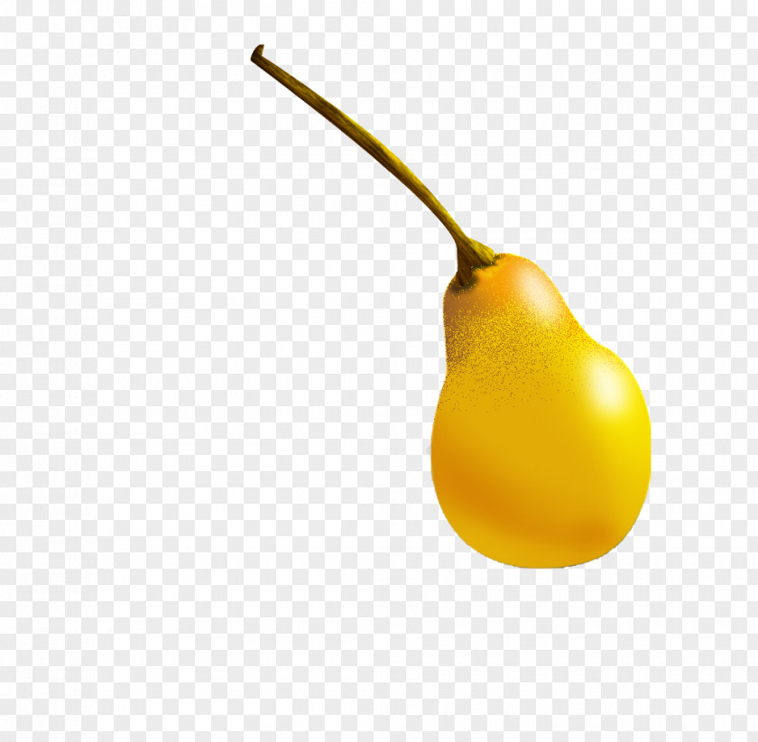 Cartoon Pears European Pear Pyrus Nivalis Drawing PNG
