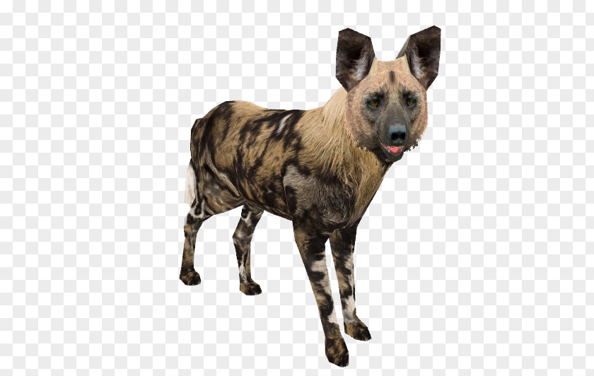 Dog African Wild Dhole Breed Zoo Tycoon 2: Marine Mania PNG
