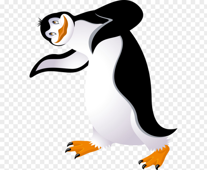 Penguin Clip Art Baby Bird King PNG