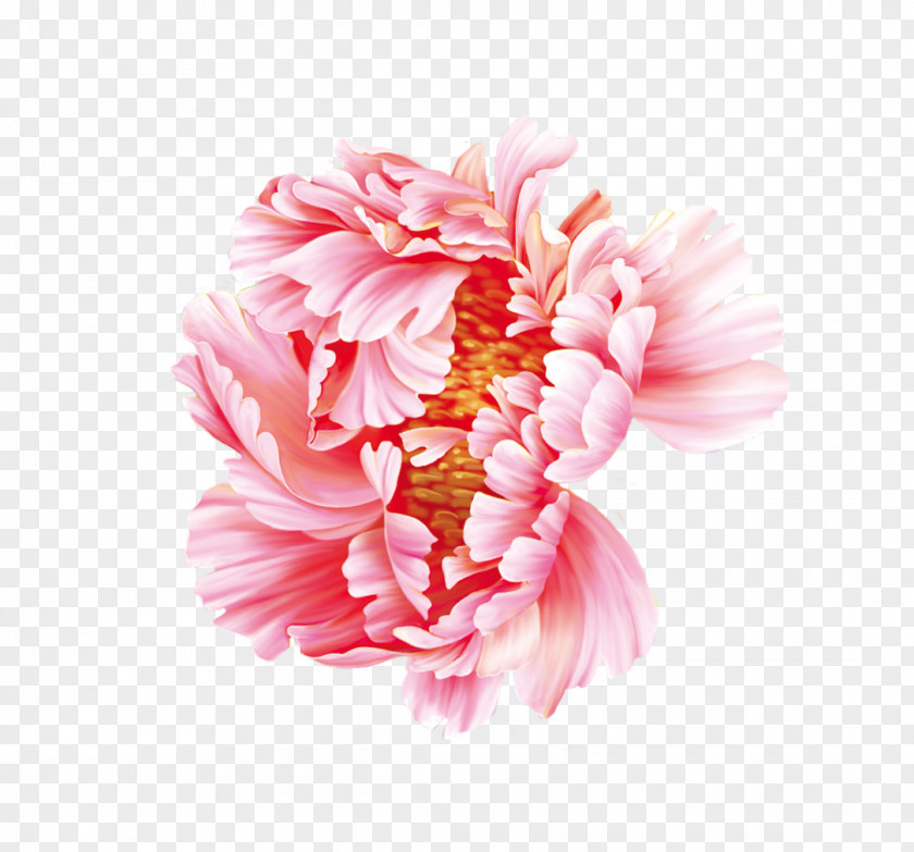 Peony Dahlia Moutan Flower PNG