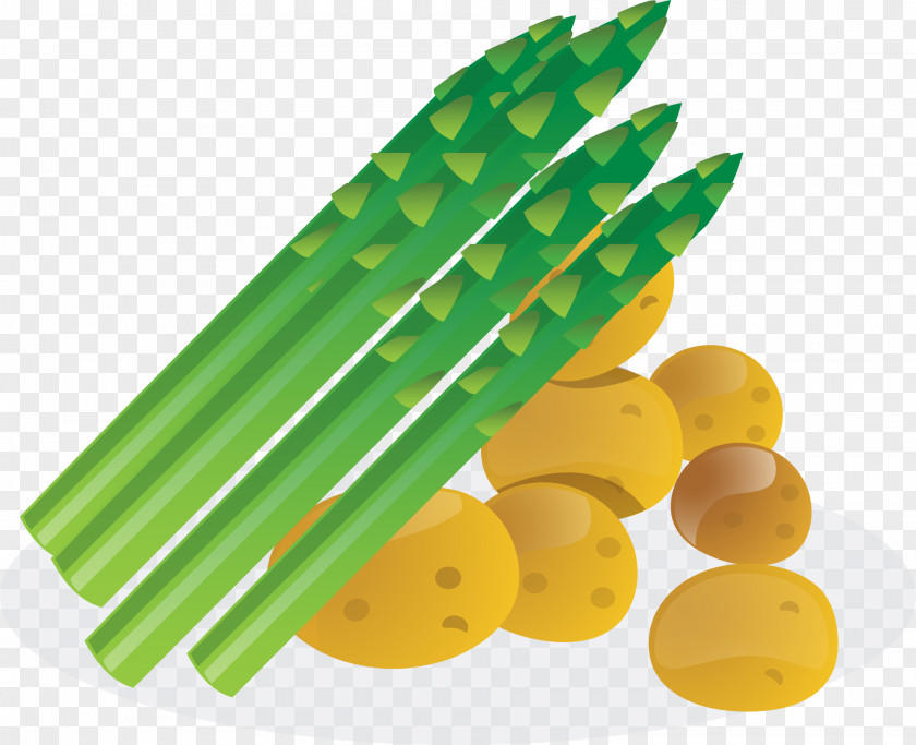 Potatoes, Bamboo Shoots Asparagus Vegetable Clip Art PNG