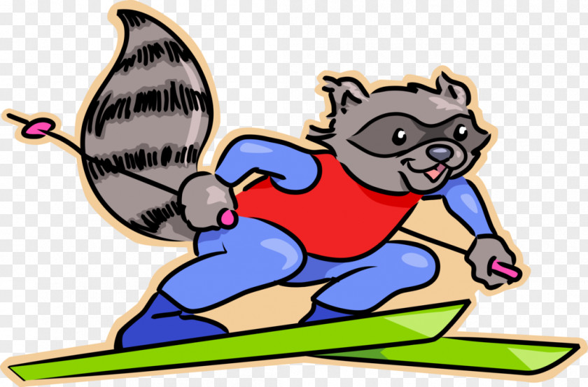 Raccoon Clip Art PNG