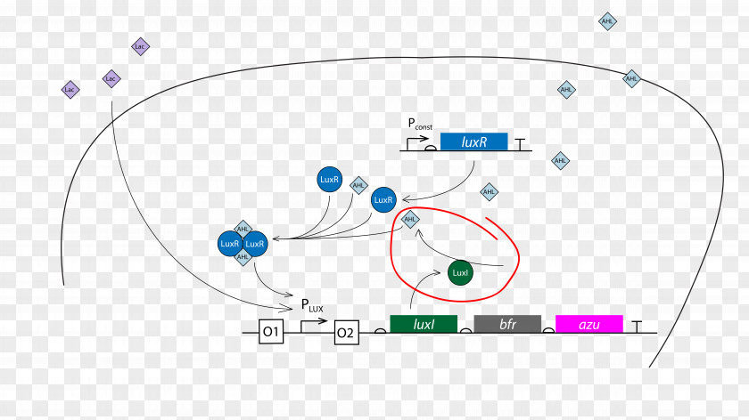 Space Environment Graphic Design Brand Diagram Circle PNG