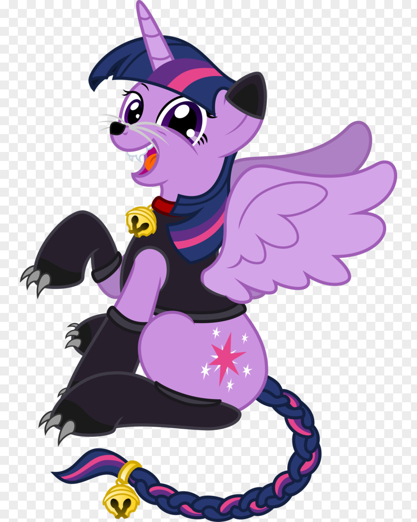 Sparkle Twilight Applejack Fluttershy Pinkie Pie Rarity PNG