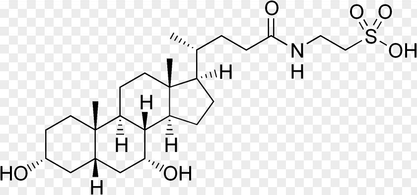 Acid Cholesterol Chenodeoxycholic Bile Phytosterol PNG