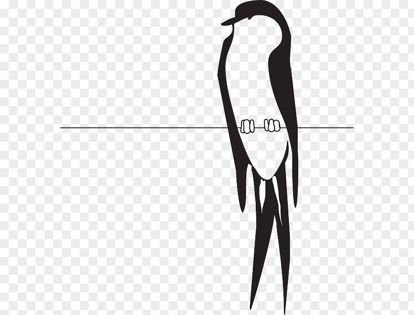 Claw Vector Bird Clip Art PNG