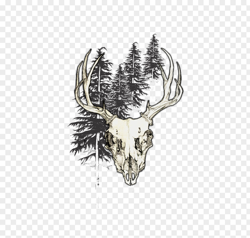 Deer Skull Design By Humans /m/02csf Antler PNG