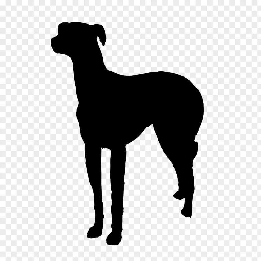 Dogs Vector Italian Greyhound Pet Sitting Dog Walking Breed PNG