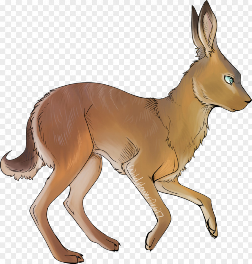 Horse Canidae Hare Deer Kangaroo PNG