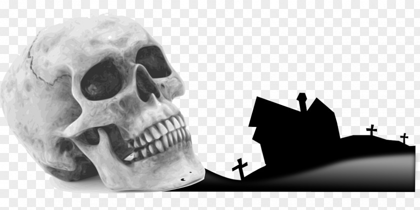 Skull Human Skeleton Drawing PNG
