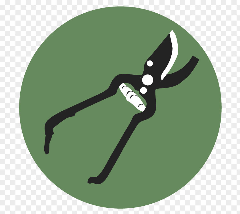 Tool Pruning Shears Building Cartoon PNG