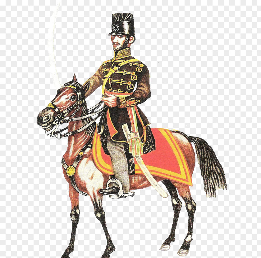 Budai A Magyar Huszár Polish Hussars Hungarian Revolution Of 1848 Pápa Horse PNG