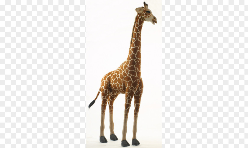 Giraffe Neck Stuffed Animals & Cuddly Toys Wildlife PNG