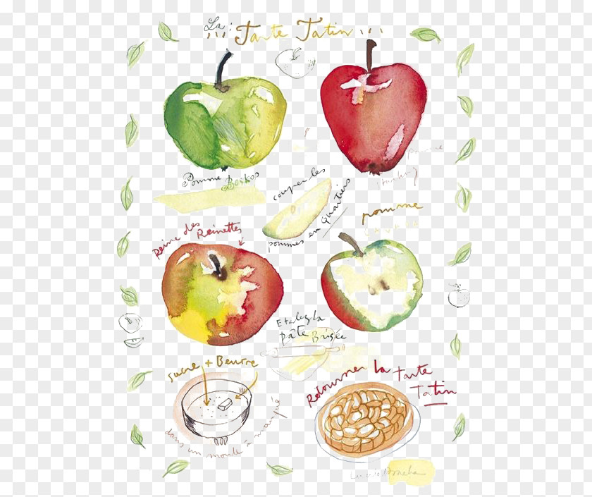 Hand-painted Watercolor Apple Pie Paper Printing Fruit Illustration PNG