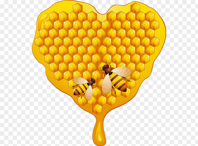 Honey Bee Honeycomb PNG