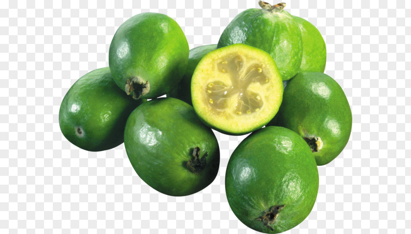 Lemon Feijoa Key Lime Persian PNG