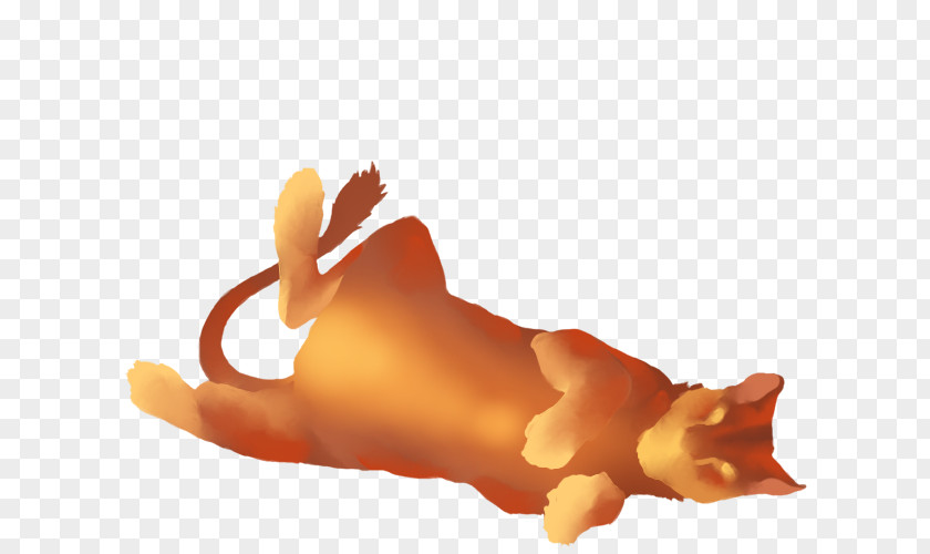 Lioness Carnivora Finger Tail PNG