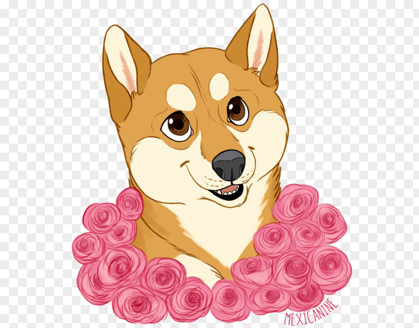 Puppy Shiba Inu Dog Breed Red Fox Whiskers PNG