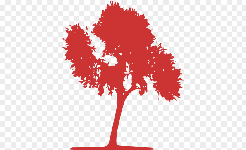 Red Portugal Tree Vector Graphics Image Illustration PNG