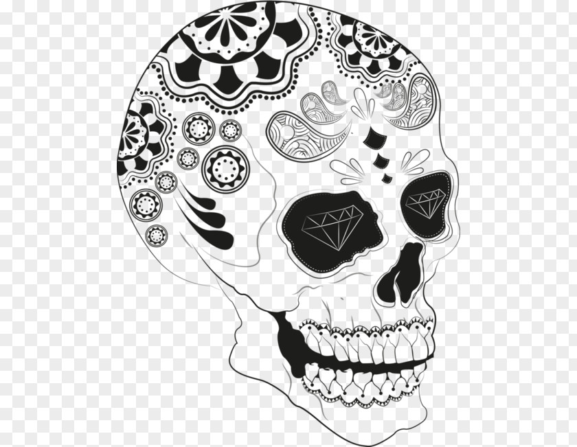 Skull Calavera Day Of The Dead Drawing Art PNG