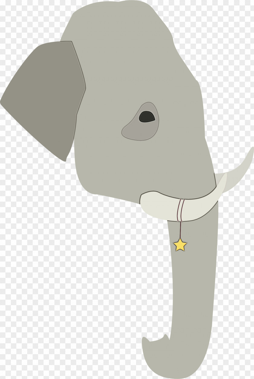African Elephant Snout PNG