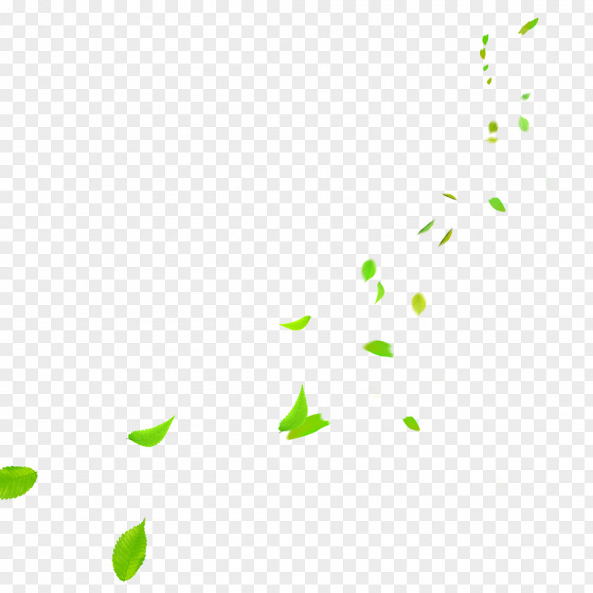 Clear Green Leaves Falling Clip Art PNG