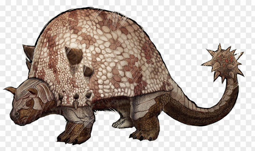 Dinosaur ARK: Redwood Biome Megalosaurus Brontosaurus Allosaurus Doedicurus Clavicaudatus PNG