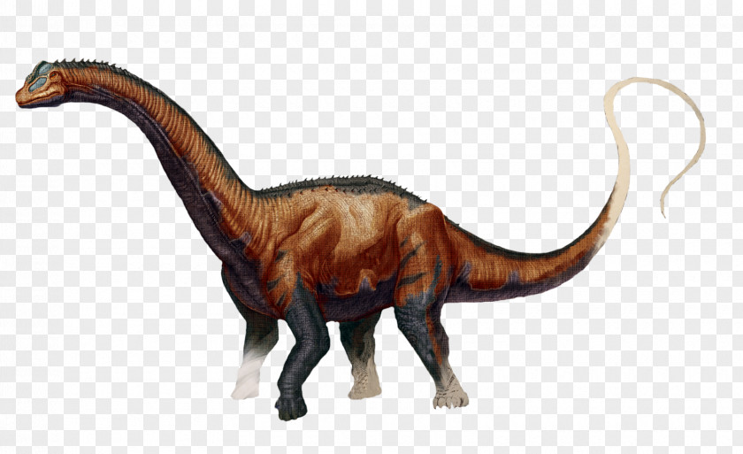 Dinosaur ARK: Survival Evolved Brontosaurus Compsognathus Stegosaurus PNG