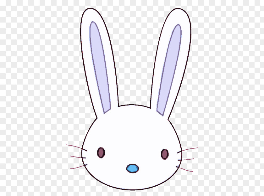 Easter Bunny PNG