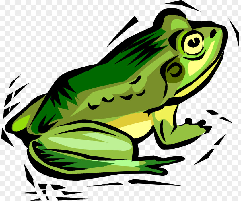 Frog Clip Art Toad Vector Graphics Illustration PNG